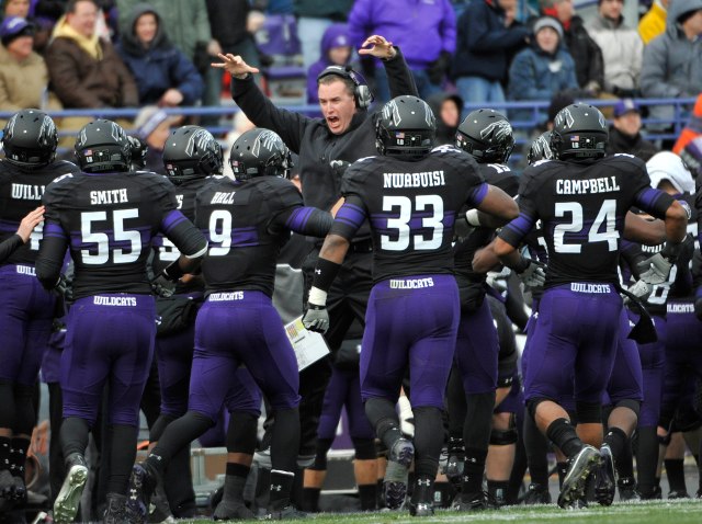 Nov 24, 2011; Evanston, IL, USA; Northwestern Wildcats head coach Pat Fitzgerald celebrates his teams fumble recover against the Illinois Fighting Illini during the first half at Ryan Field. Mandatory Credit: David Banks-US PRESSWIRE