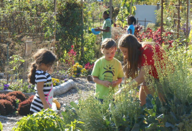 Wisconsin_garden2