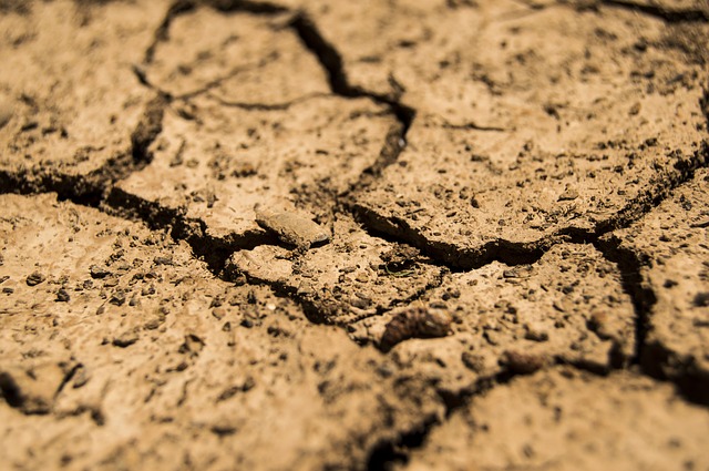 Drought cracked soil