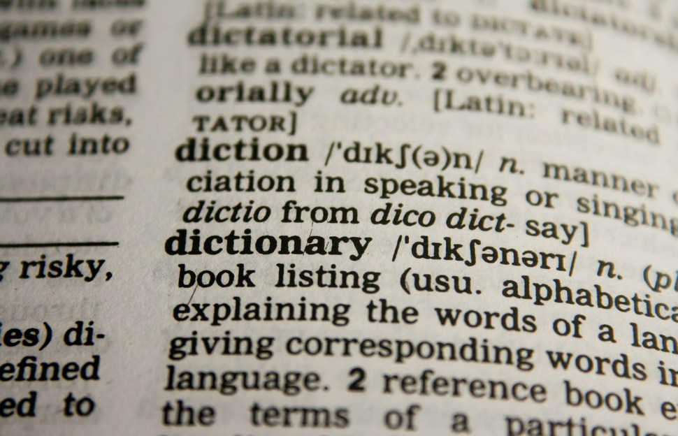 A dictionary entry