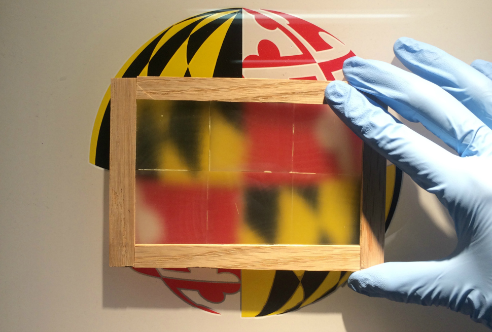 Wooden window pane over University of Maryland logo.