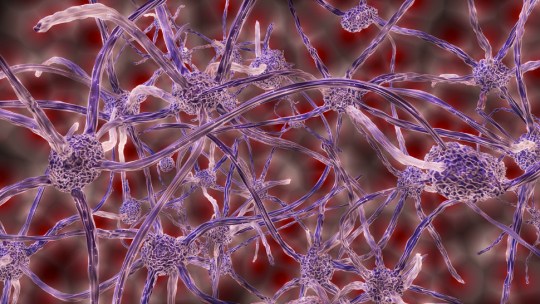 Artists rendering of nerve cells in the brain