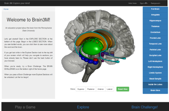 Screenshot of 3M project's interactive, online brain anatomy program.