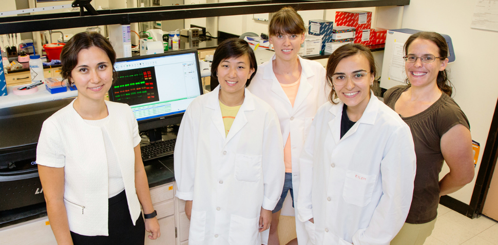 Team of University of Illinois researchers making headway in the fight against cancer.
