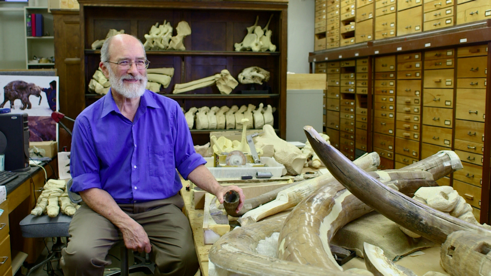 Dr. Daniel Fisher of the University of Michigan museum of paleontology with the Bristle Mammoth find.