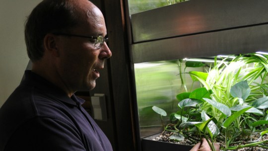 Purdue University professor Bill Hutzel working on the BioWall.