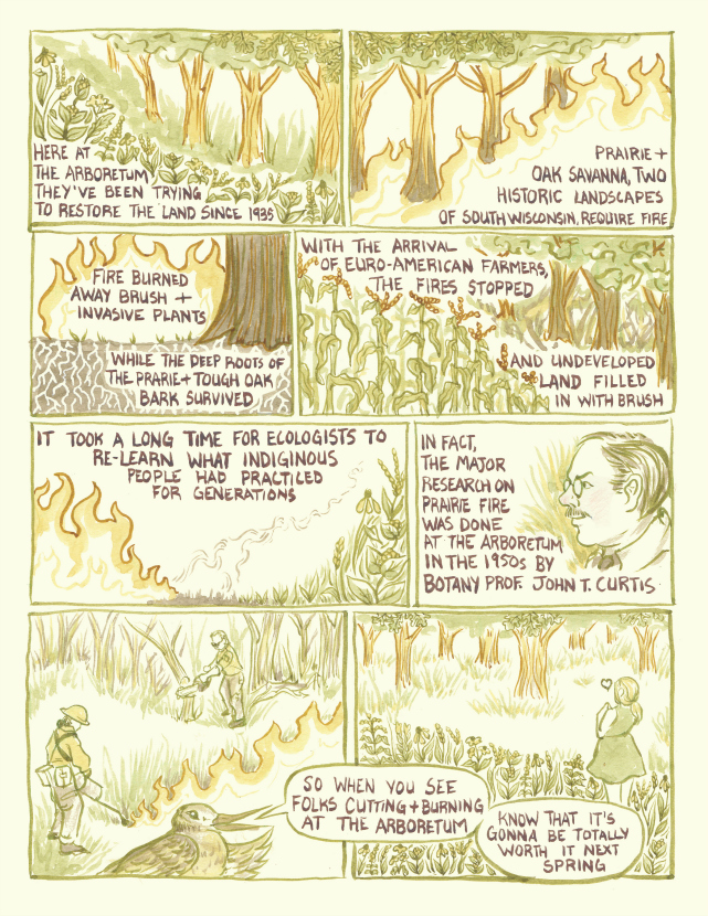 A pag from University of Wisconsin artist Liz Anna Kozik's prairie comic.