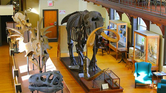 The main hall of Rutgers University's Geology Museum with various fossil skeletons