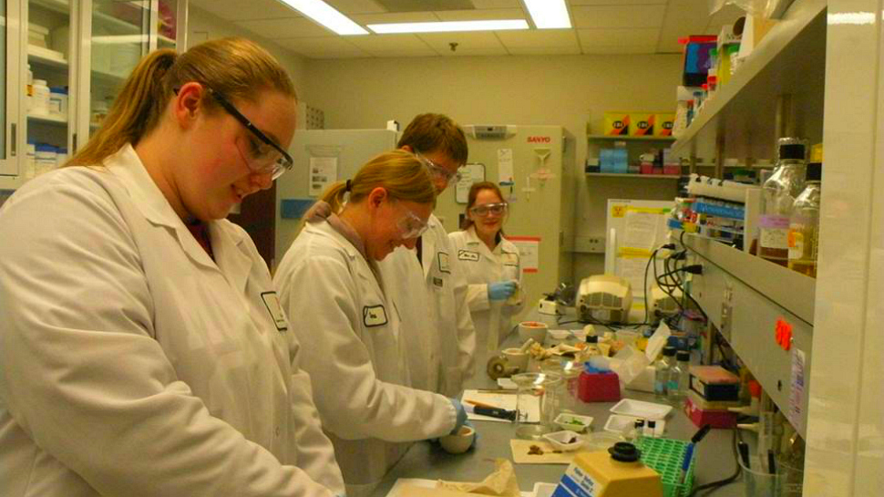 Young Nebraska Scientists camp includes actual lab work.