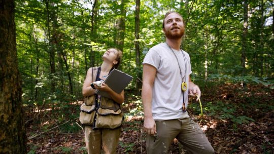 IU forest ecology technicians Aubree Keurajian and Matthias Gaffney gaze up at the forest canopy during their work recording the size and location of every tree over 10 centimeters in diameter in Lilly-Dickey Woods