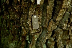 Tag on a tree as part of Indiana University's tree census of the Lilly-Dickey Woods