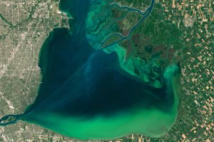 A cyanobacteria bloom on Lake Erie