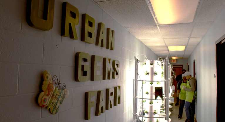 An Urban GEMS vertical garden in a Columbus community center.