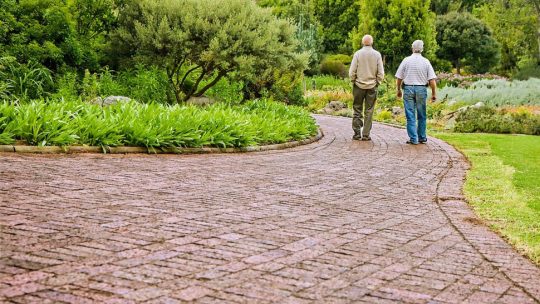 Two older men walking together in a park.