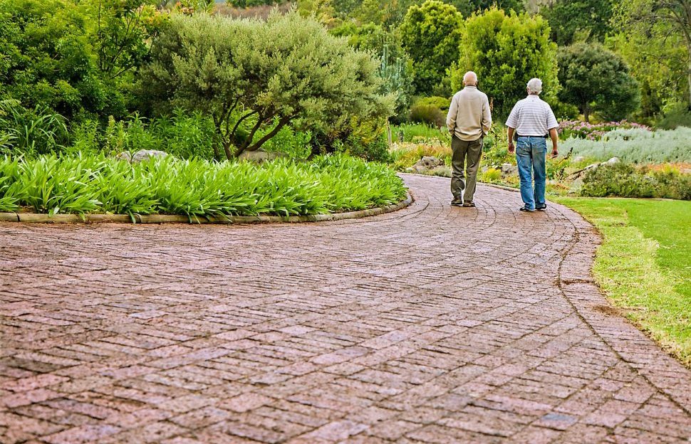 Two older men walking together in a park.