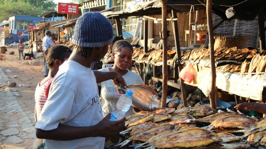 A woman selling fish at a market in Ghana
