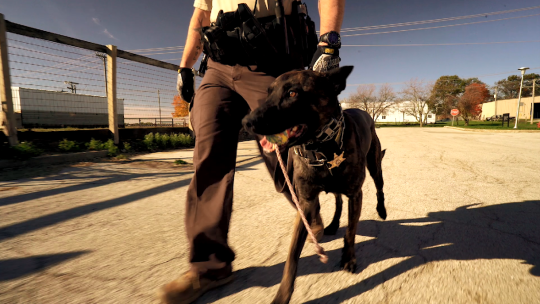 A Champaign county deputy and his K-9 partner.