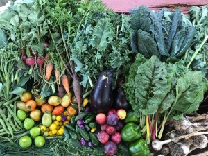 Produce grown in the Columbia Heights Green