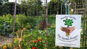 Greater Lansing Foodbank Garden Project