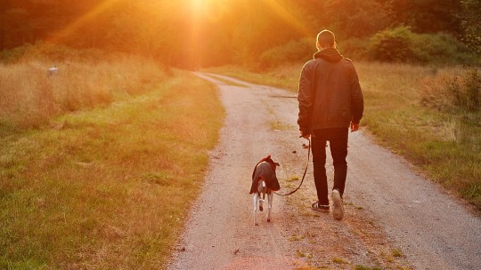 A man walking with his dog down a country road.