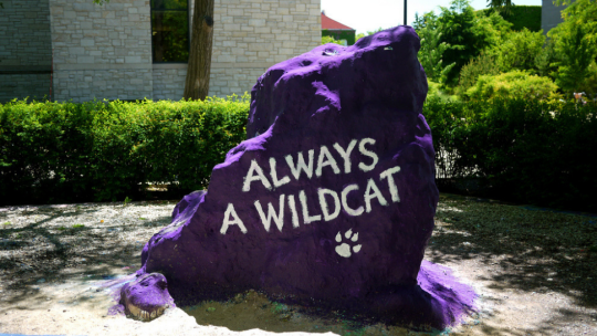 The famous Northwestern University Rock painted to say "Always a Wildcat."