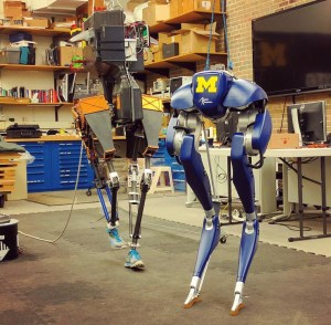 University of Michigan walking robots. 