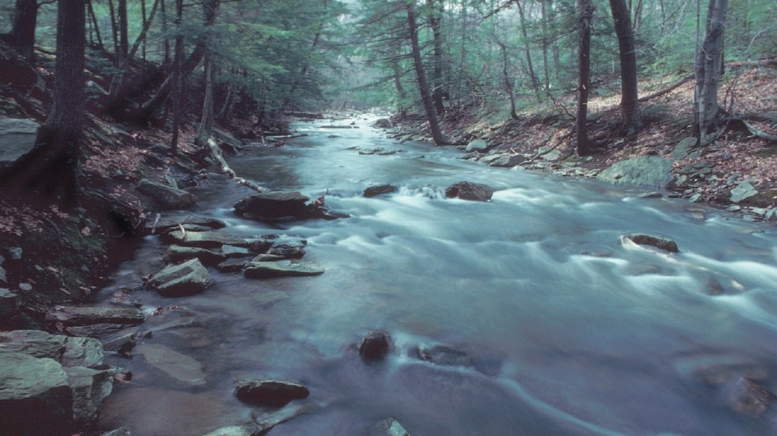 A stream in Maryland