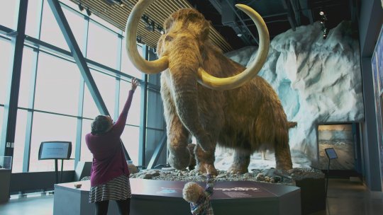 A mother and son stand in front of a mastodon model at the University of Minnesota's Bell Museum of Natural History