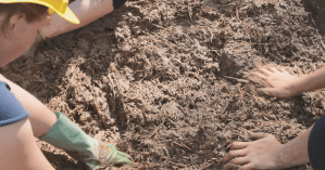 University of Michigan students mix the adobe wall mixture for their straw bale building