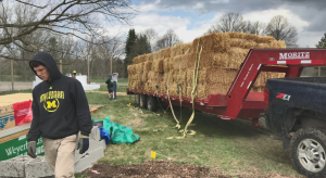 A trailer loaded with straw delivered to the University of Michigan's straw bale building site.