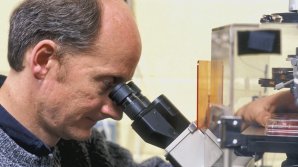 University of Wisconsin professor Jamie Thomson looking into a microscope.