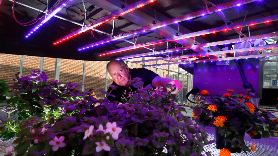 Meet the Purdue professor revolutionizing outer space agriculture: BTN
LiveBIG