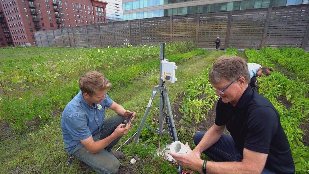 Maryland helps grow urban rooftop farms: BTN LiveBIG